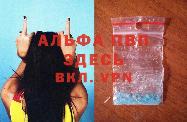 дживик Белокуриха
