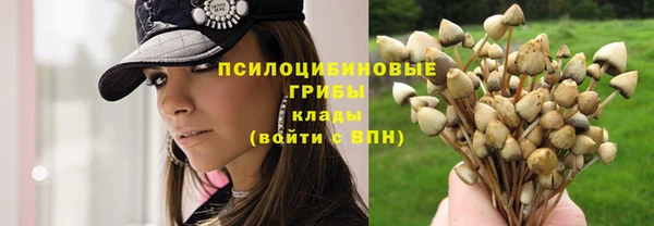 мяу мяу кристалл Богородицк