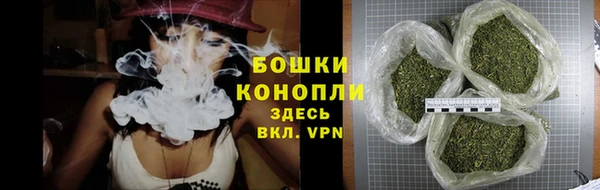 дживик Белокуриха