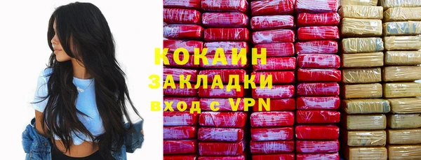 дживик Белокуриха