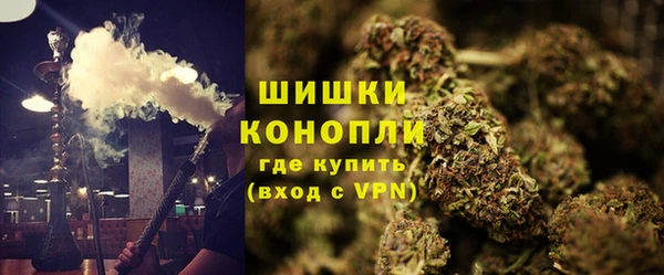 дживик Белокуриха