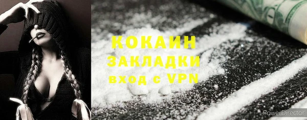 дживик Белокуриха